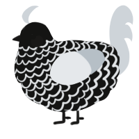 A black and mist chicken with a lace pattern