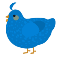 A sapphire chicken with a speckle pattern