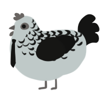 A silver and black chicken with a half-lace pattern