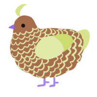 A brown and lemon chicken with a lace pattern