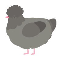 A ash and grey chicken with a head pattern