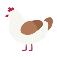 A white and brown chicken