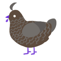 A bark and grey chicken with a lace pattern
