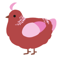A red and pink chicken with a neck-band pattern