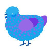 A sky and blurple chicken with a speckle pattern