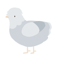 A mist chicken with a head pattern