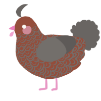 A russet and grey chicken with a double-lace pattern