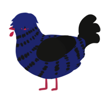 A navy and black chicken with a bar pattern