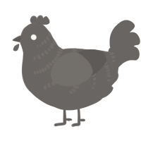 A grey chicken with a half-bar pattern