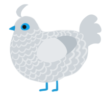 Sophia, a mist chicken with a lace pattern