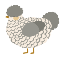Dorothy, a cream and ash chicken with a lace pattern