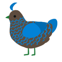 A bark and sapphire chicken with a lace pattern