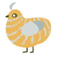 A honey and silver chicken with a bar pattern