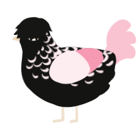 (unnamed), a black and rose chicken with a half-lace pattern
