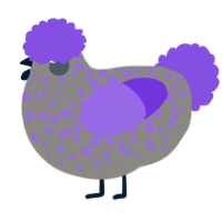 A ash and blurple chicken with a speckle pattern
