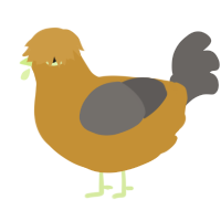 A gold and grey chicken