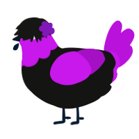 Bertherb, a black and amethyst chicken with a head pattern