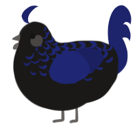 (unnamed), a sable and navy chicken with a half-lace pattern