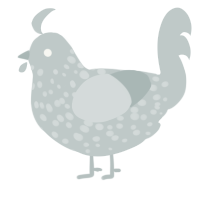 A silver chicken with a speckle pattern