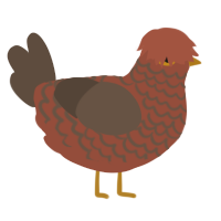 Mangeur de Scarabées, a russet and bark chicken with a lace pattern