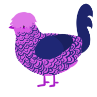 bald, a orchid and navy chicken with a double-lace pattern
