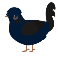 A tumblr and sable chicken with a neck-speckle pattern