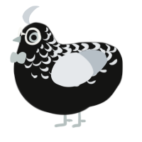 Eclipse, a black and mist chicken with a half-lace pattern