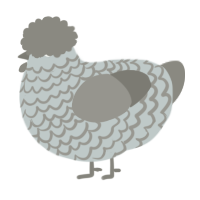 A silver and ash chicken with a lace pattern