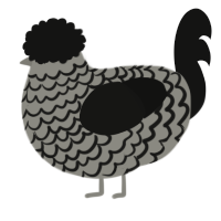 A ash and black chicken with a lace pattern