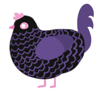 Kinetic, a black and overcast chicken with a lace pattern