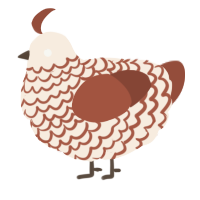 A cream and russet chicken with a lace pattern
