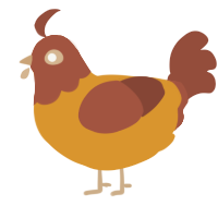 Hazelnut, a orange and russet chicken with a head pattern