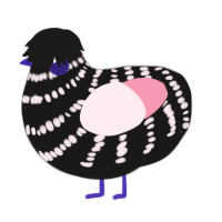 A sable and rose chicken with a bar pattern