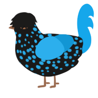 Jewel, a sable and sky chicken with a speckle pattern