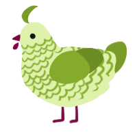 lettuce, a apple and chartreuse chicken with a lace pattern