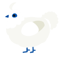 A white chicken with a head pattern