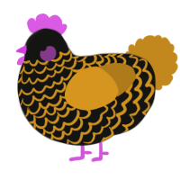 A black and ochre chicken with a lace pattern