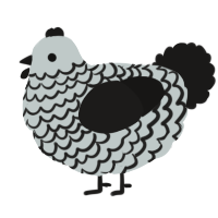 A silver and sable chicken with a lace pattern