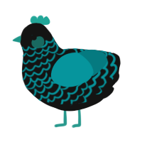 A black and teal chicken with a lace pattern
