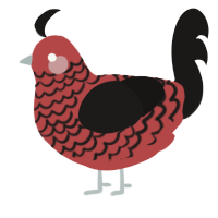 A red and sable chicken with a lace pattern
