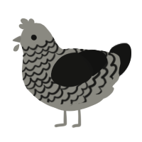 cottonball AIWMNPO, a ash and black chicken with a lace pattern
