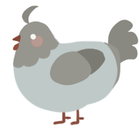 A silver and ash chicken with a head pattern
