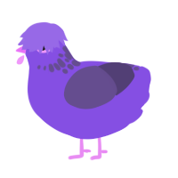 Blueberry Smoothie, a blurple and overcast chicken with a neck-speckle pattern