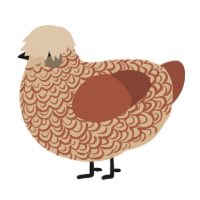 A beige and russet chicken with a double-lace pattern