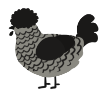 A ash and sable chicken with a lace pattern