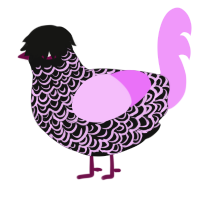 Teenage angst, a black and lavender chicken with a double-lace pattern