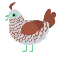 A mist and russet chicken with a lace pattern