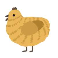 A honey and gold chicken with a bar pattern