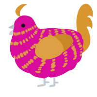 A fuchsia and orange chicken with a bar pattern