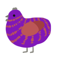 A violet and red chicken with a bar pattern
